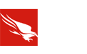 CrowdStrike Falcon